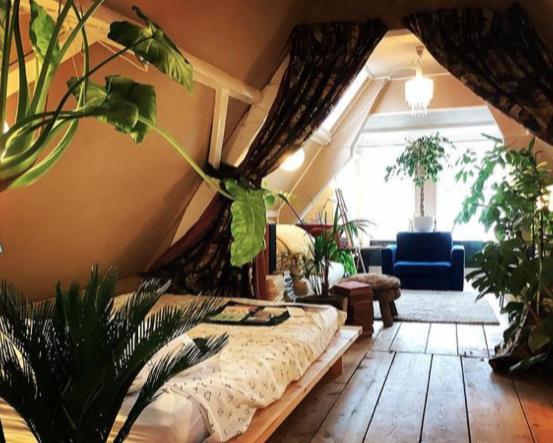 Bookstor Hotel Χάγη Εξωτερικό φωτογραφία